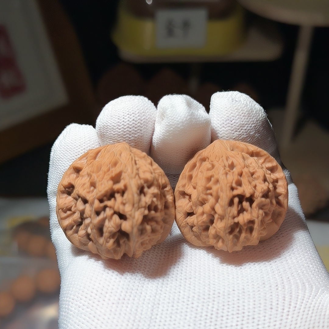 精品蓟县野生狮子头