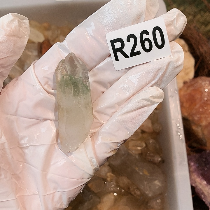 r 260