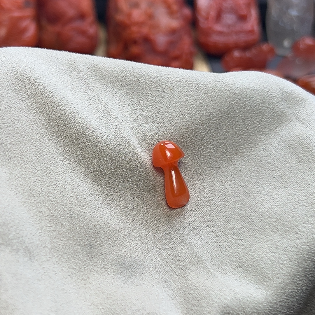 菌子滴流