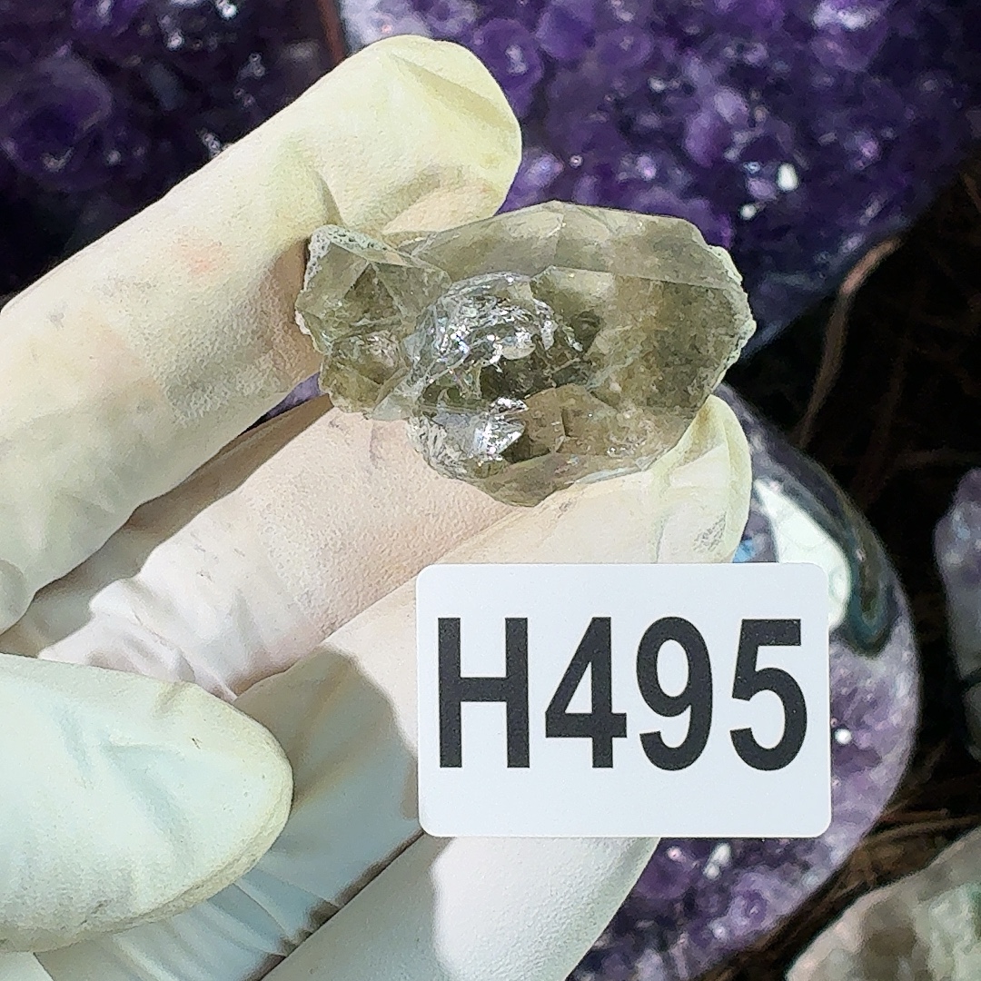 H495