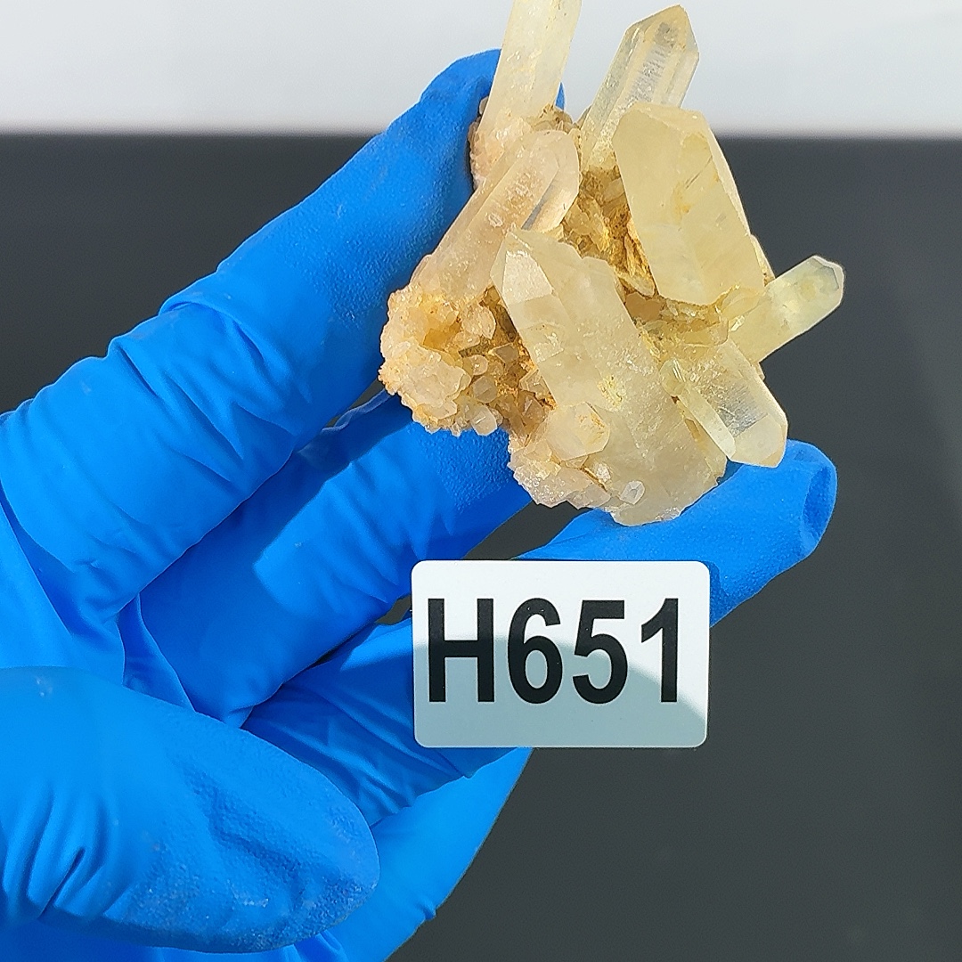 H651