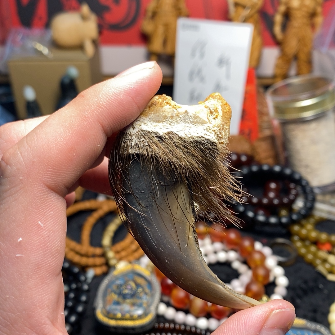 能能