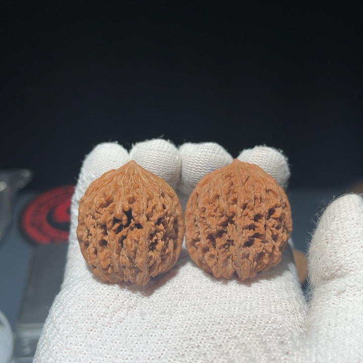 34一三七9