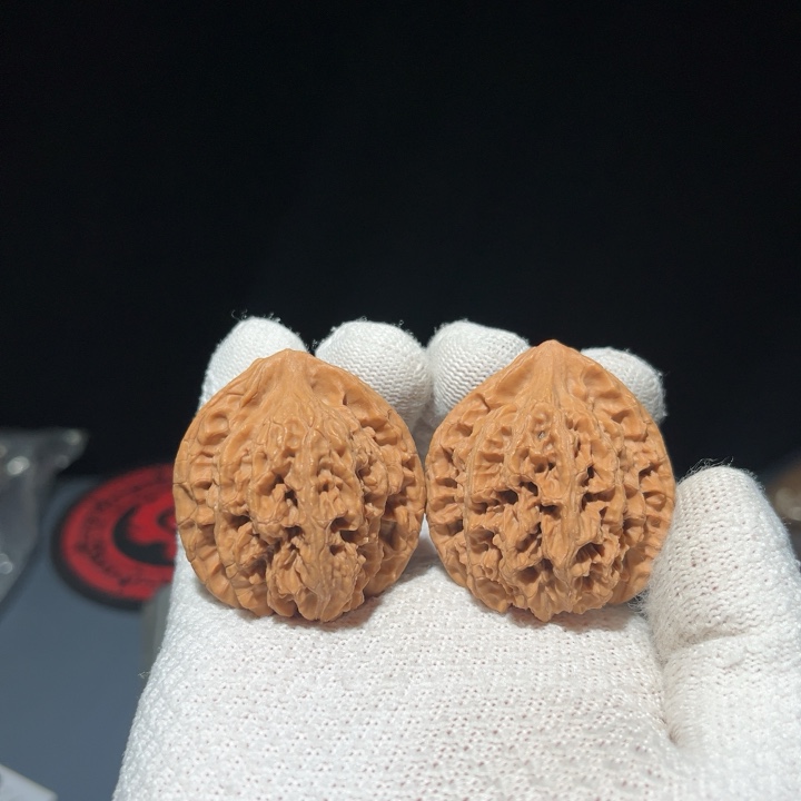 39龙脊12