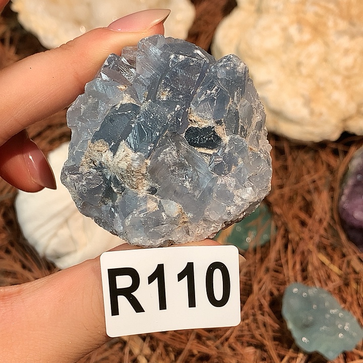 r 110
