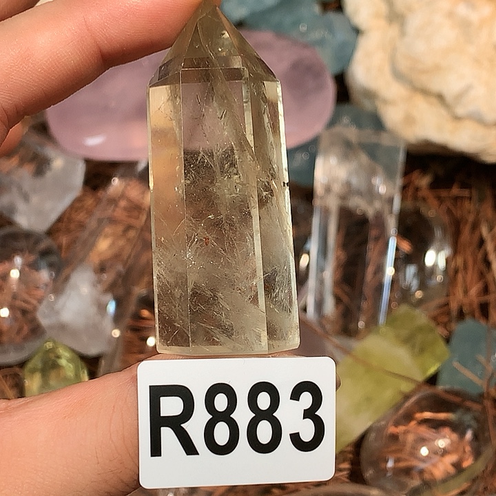 r 883