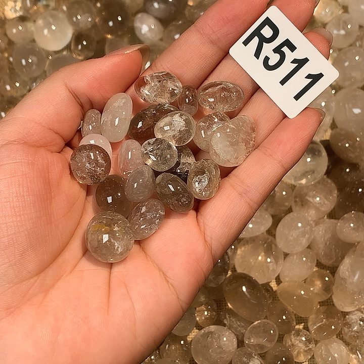 r 511