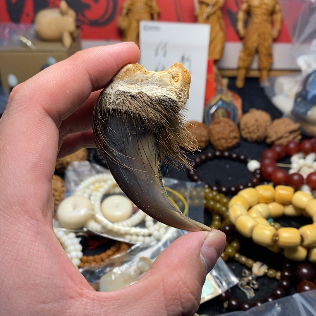 熊钩子