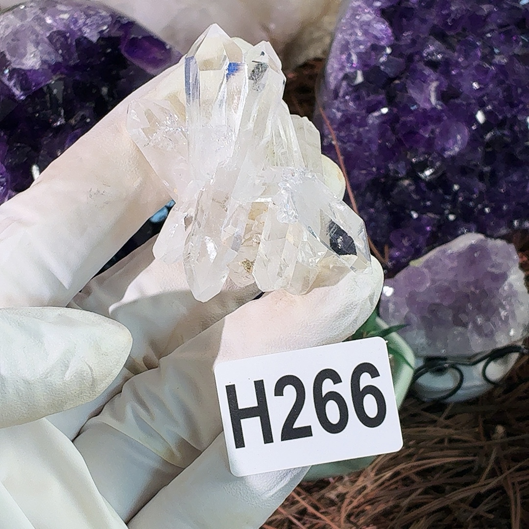 h 266