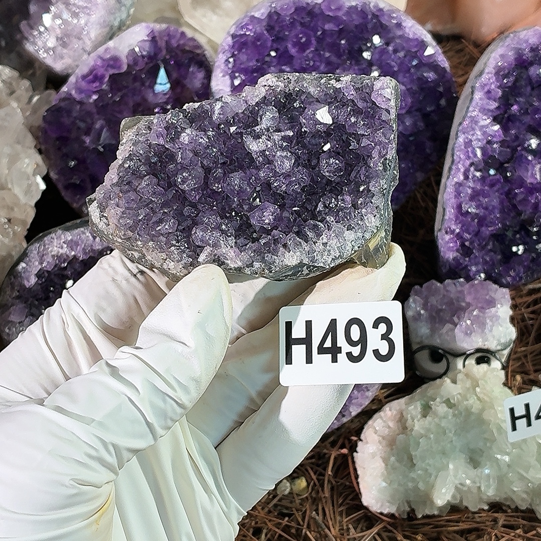 H493