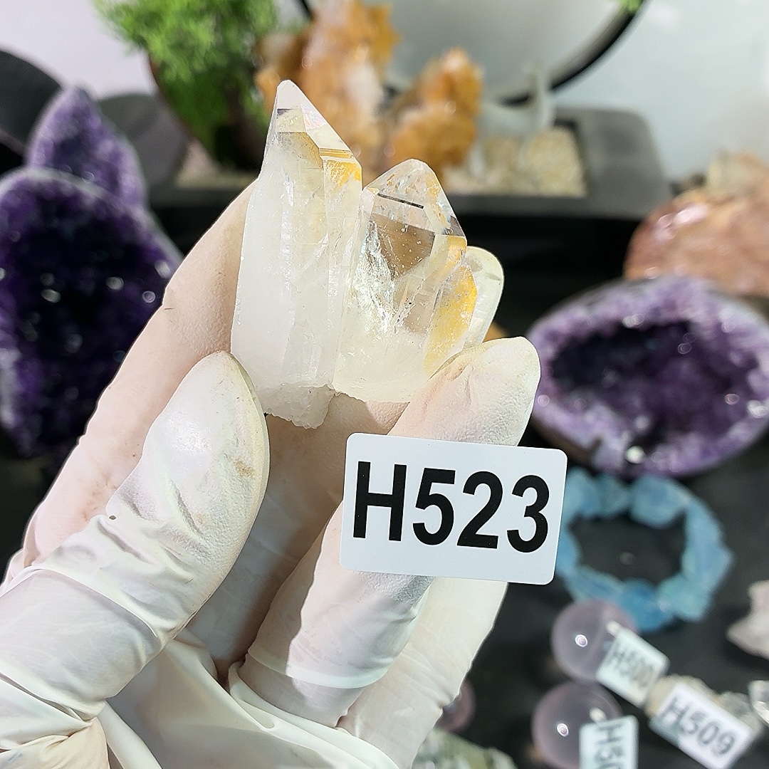 H523利姆缝合