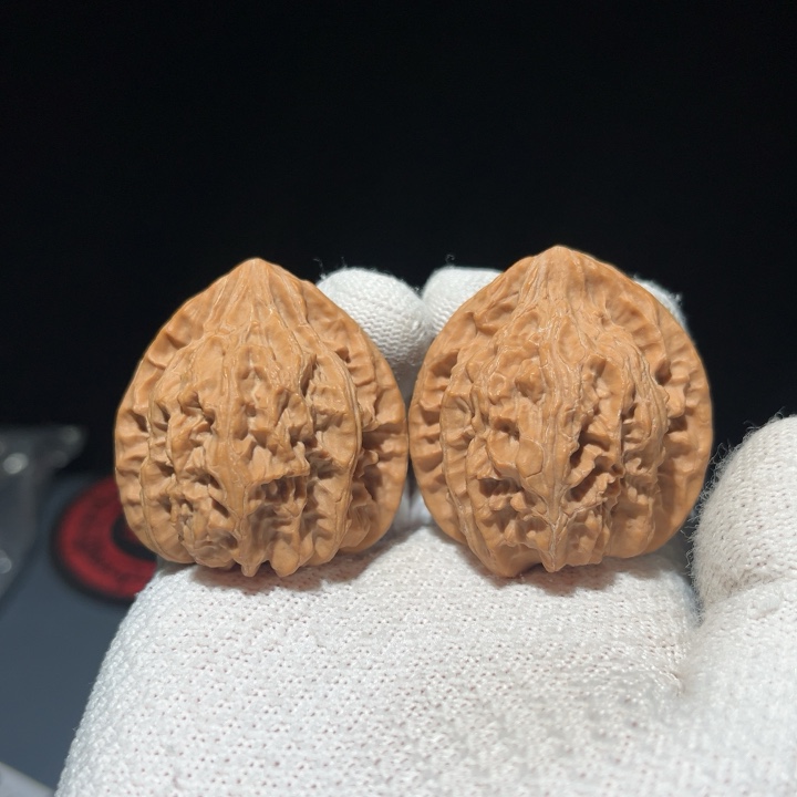 41.5火炎马蹄11