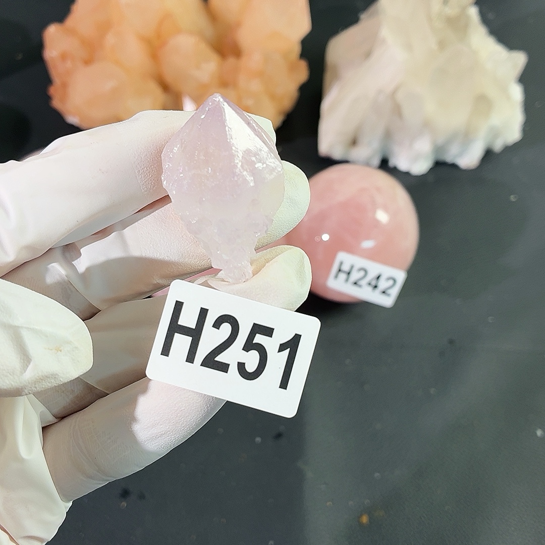 H251仙人掌福利
