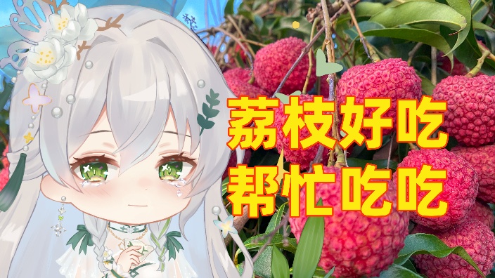 广广没荔枝了,看看福建的叭! 的封面图