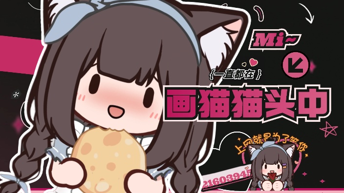 周二猫猫头启动~