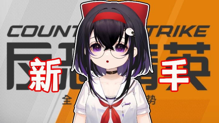 CSGO 一起丸