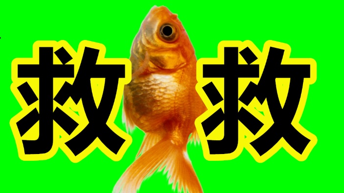 超美丽3D 的封面图