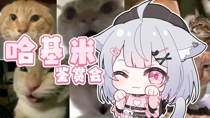 【b限】哈基米鉴赏会 的封面图