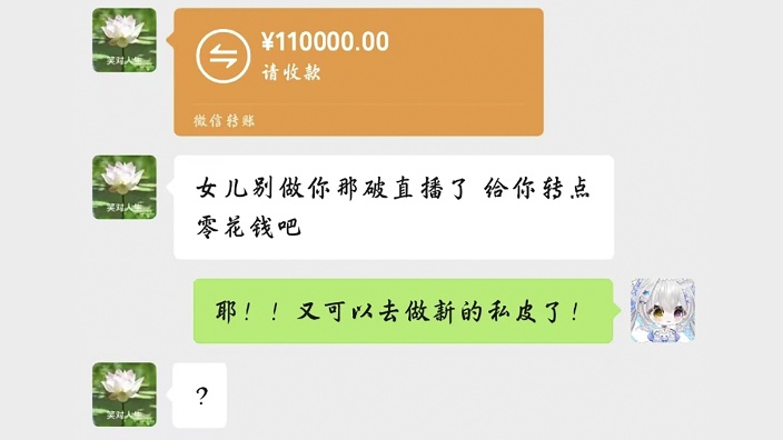 家里转账我就拿去做皮! 的封面图