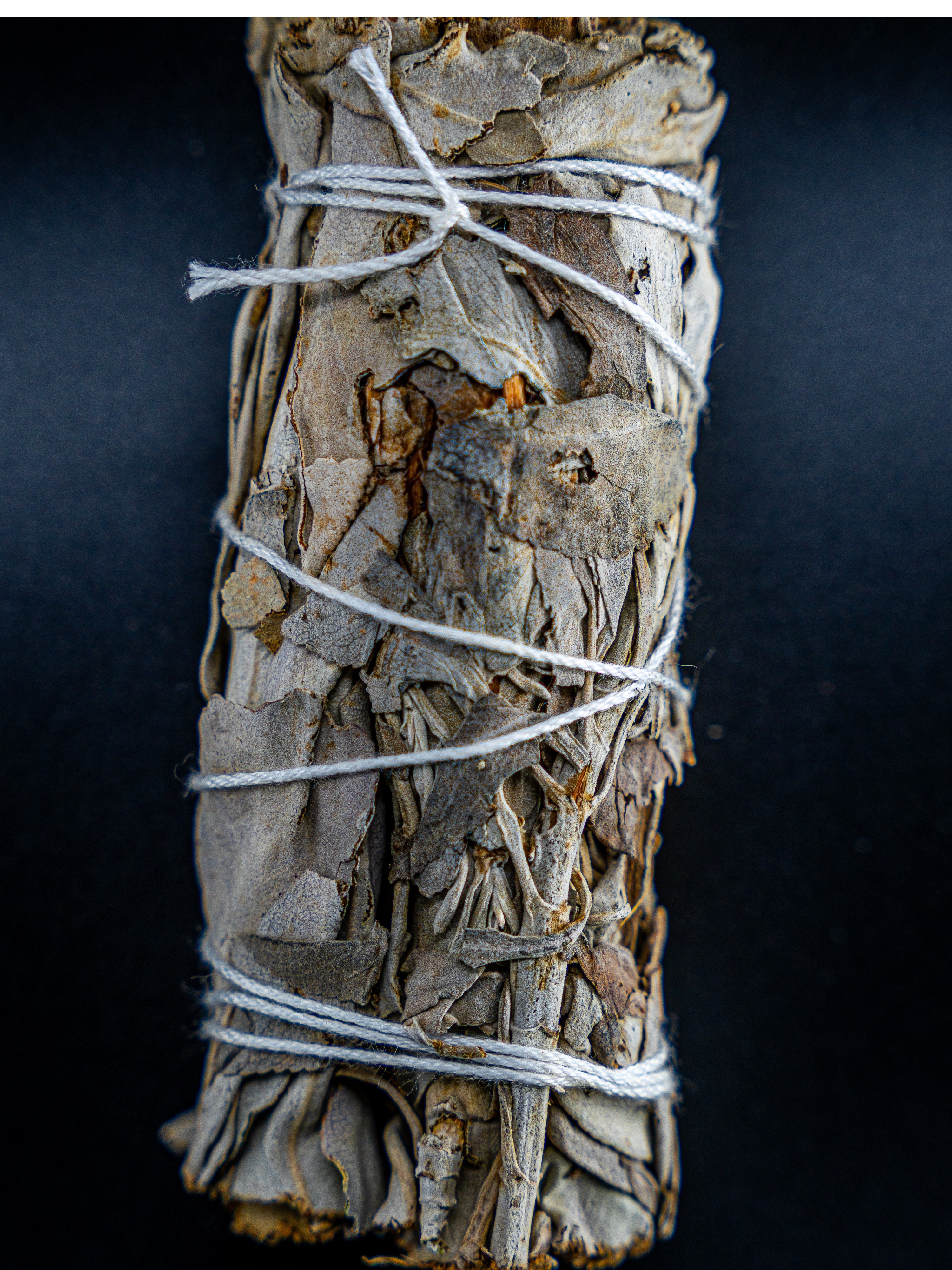 龙女塔罗精品｜美国加州进口 白鼠尾草 1捆4英寸约10.5cm 40g 用于空间净化 静心仪式 能量平衡 生活熏香