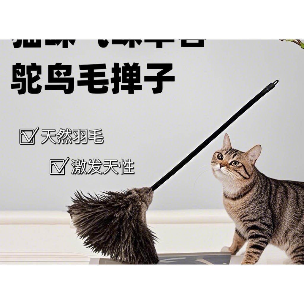 鸵鸟毛掸家用不掉毛除尘神器静电除尘掸子扫灰密绒鸵鸟毛除尘掸子