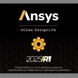ANSYS Ncode 2025R1