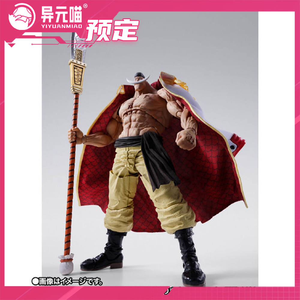 万代 魂限 SHF 海贼王 白胡子 爱德华 纽哥特 成品可动模型