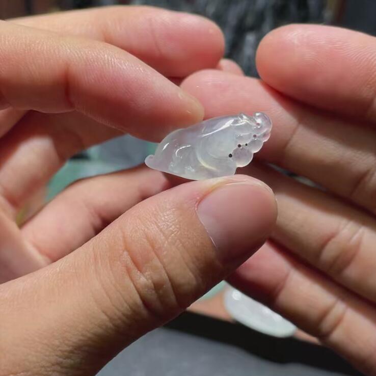 玉兰花