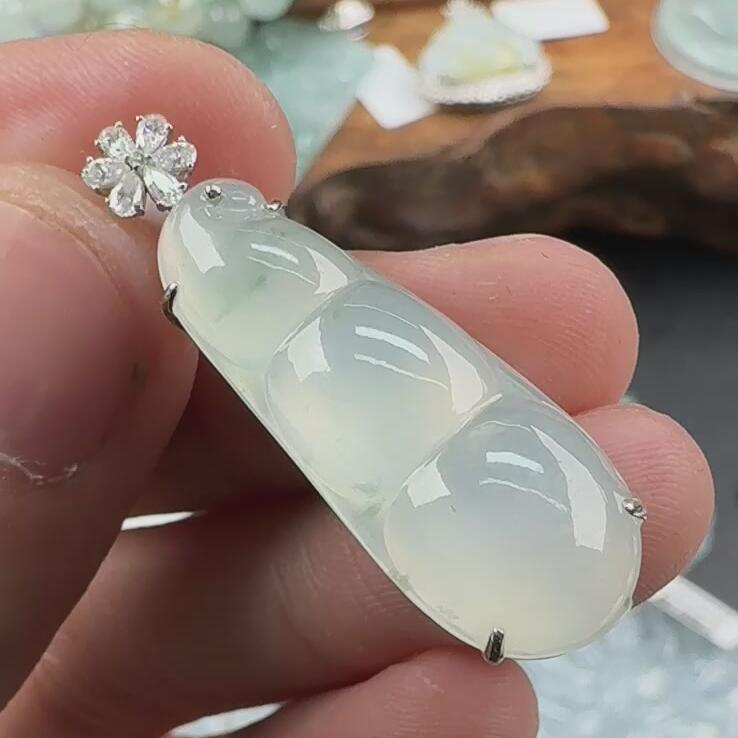 455----欧弟翡翠豆子