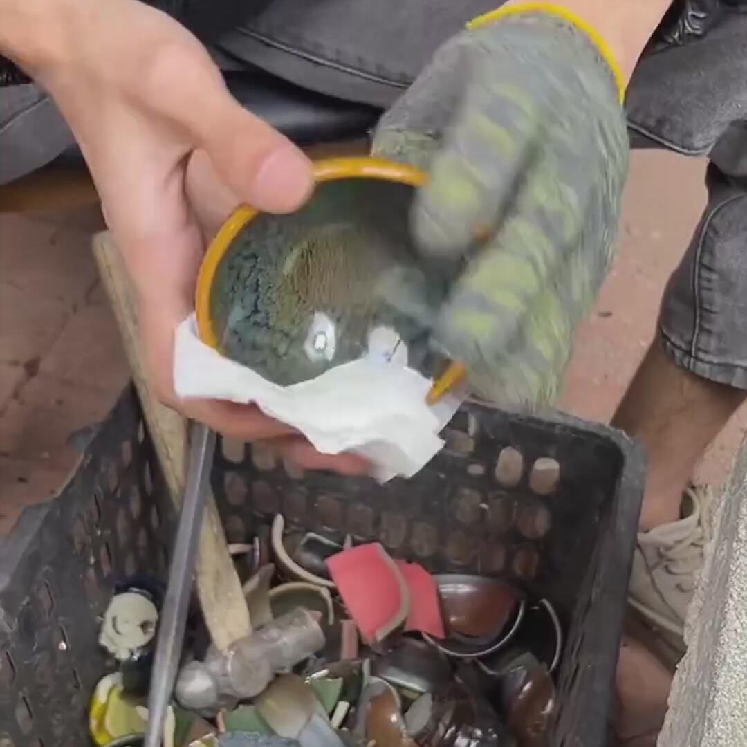 绿鹧鸪盏
