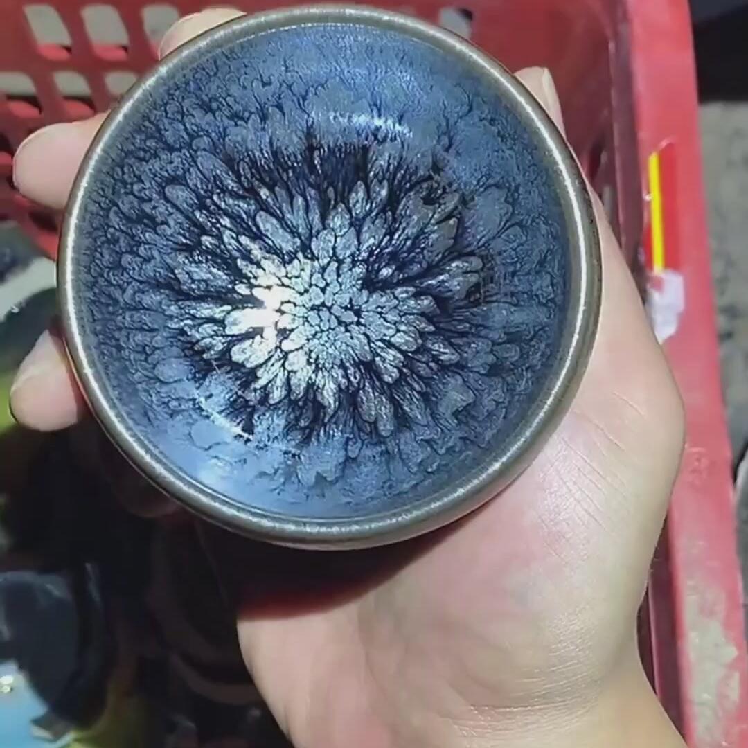 =D0043-1