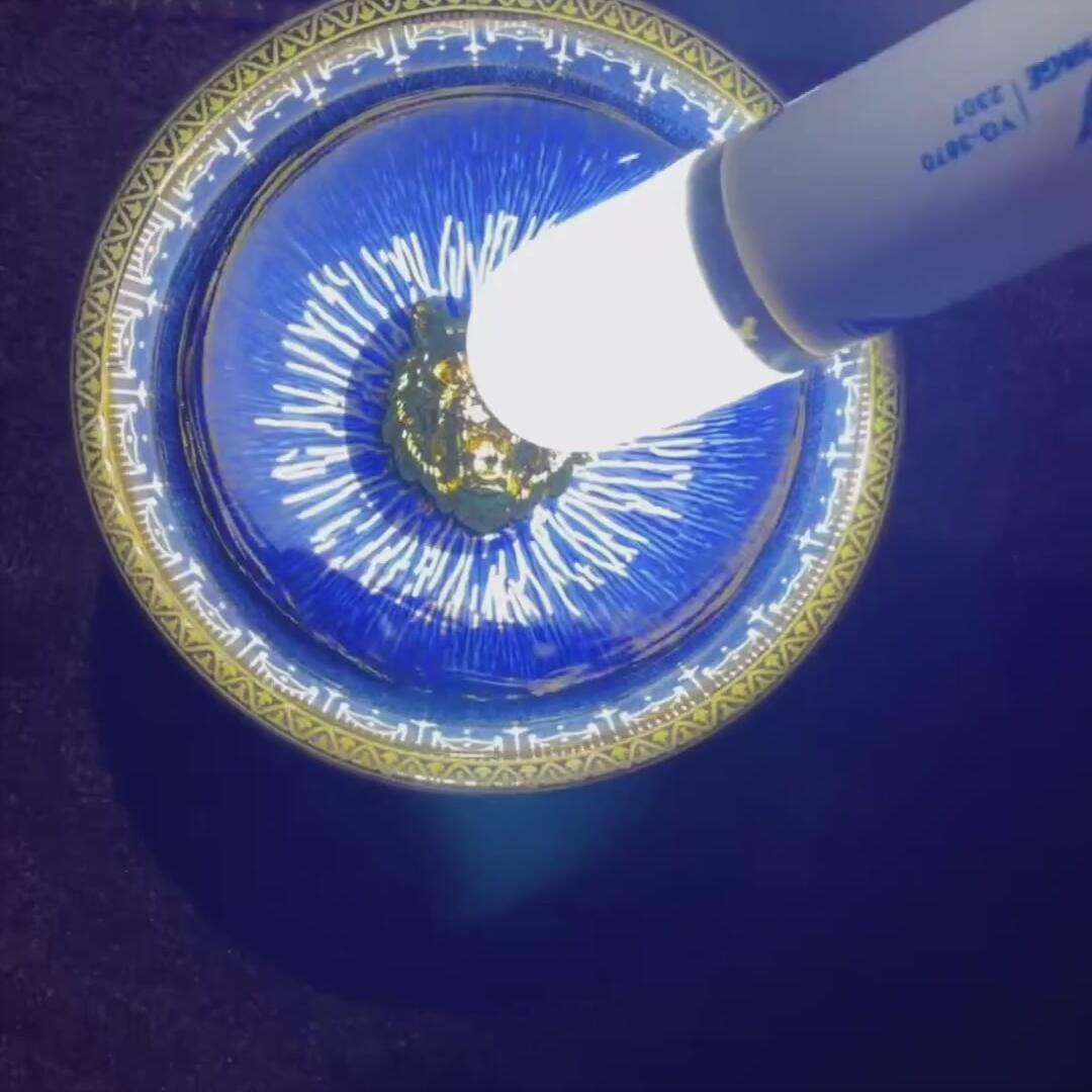 回蓝毫虎头