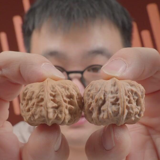 嫁接陈氏元宝（50）