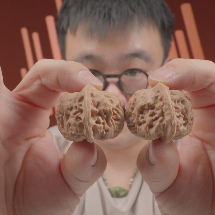嫁接陈氏元宝（66）