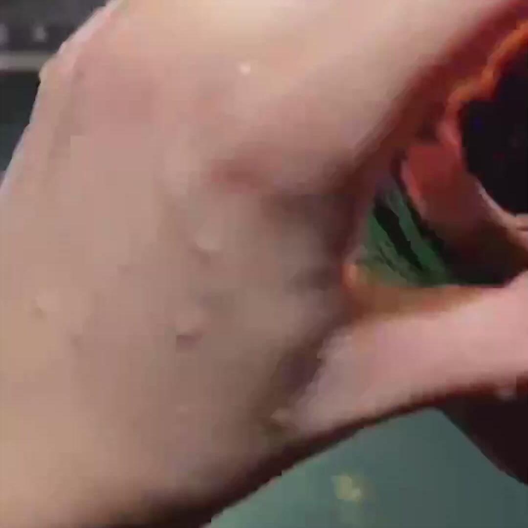 七彩龙