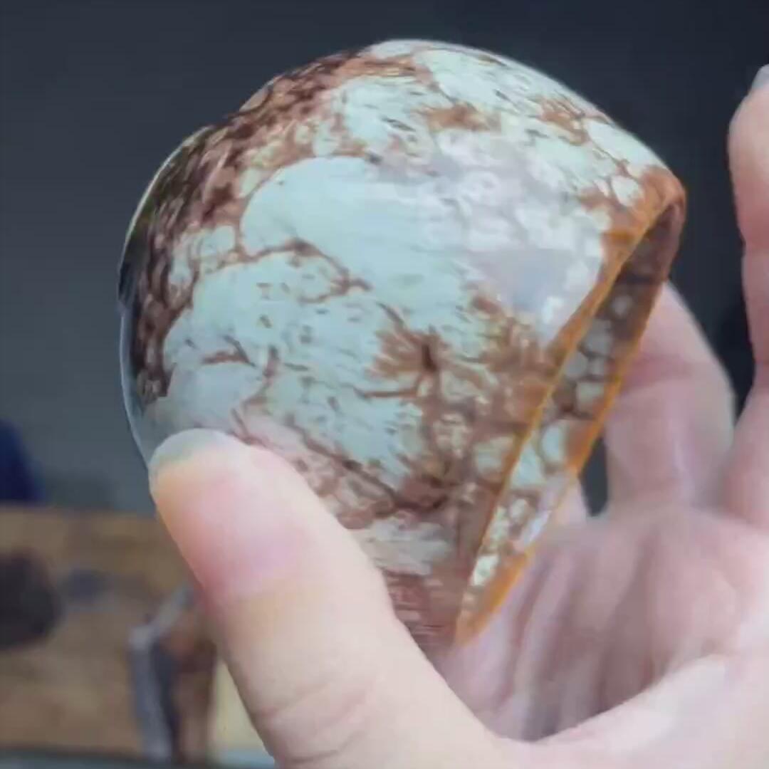 米白龙蛋