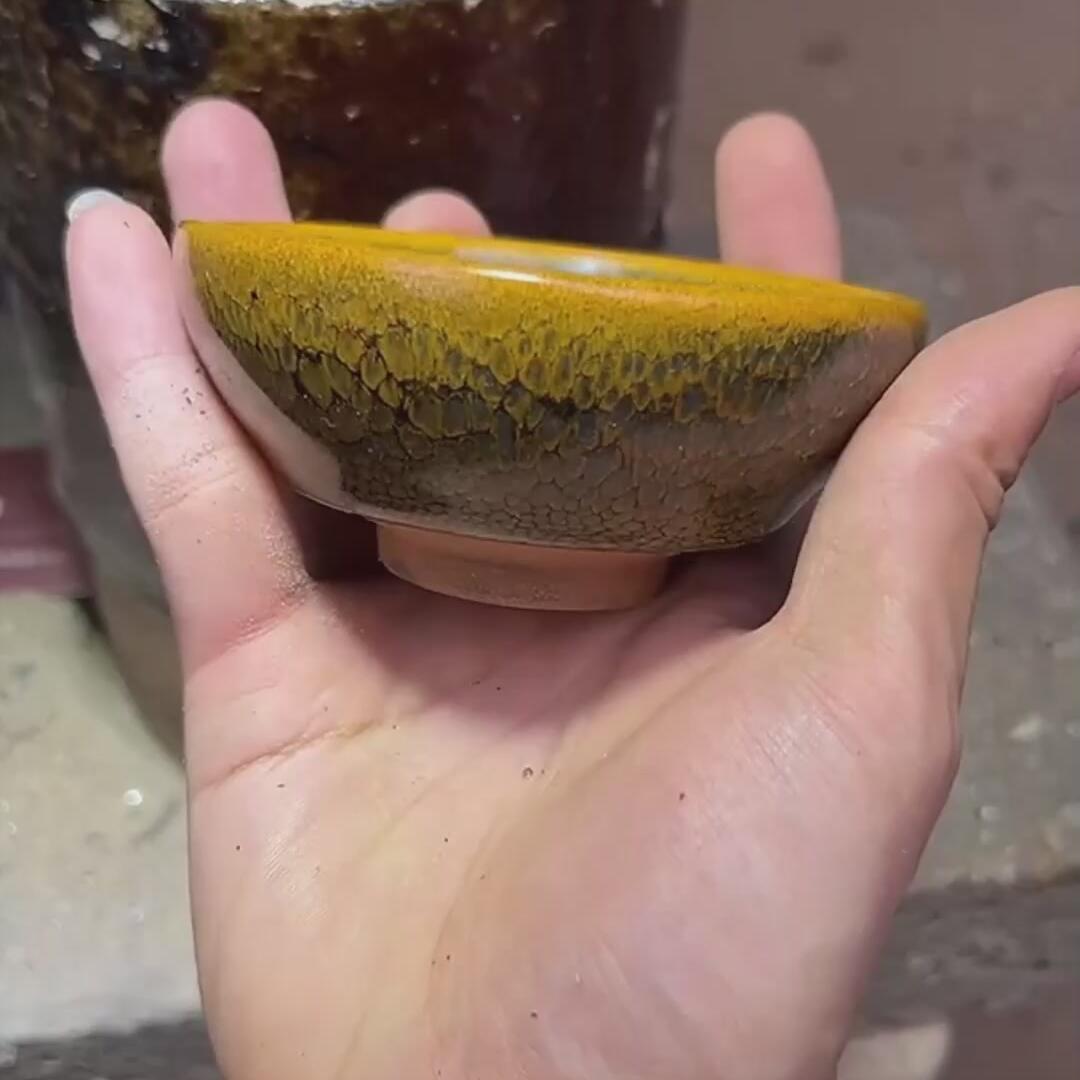 绿鹧鸪盏
