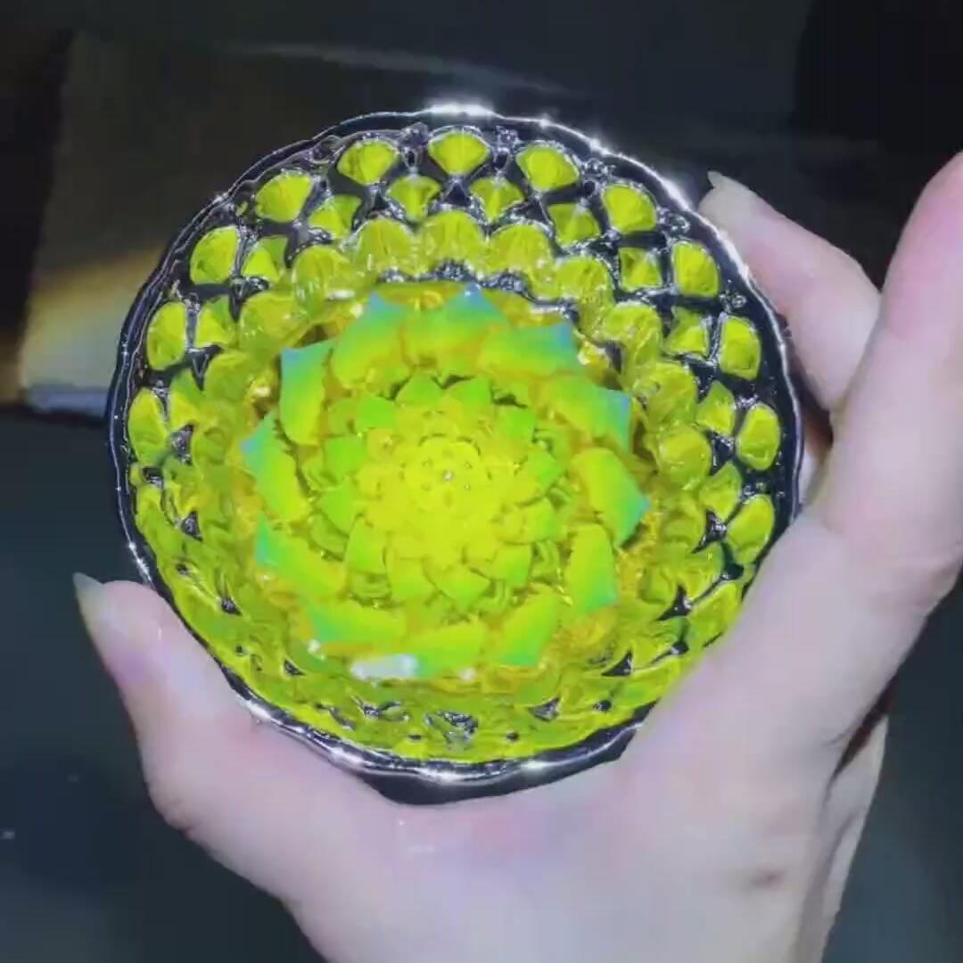 银莲花蓝色妖姬