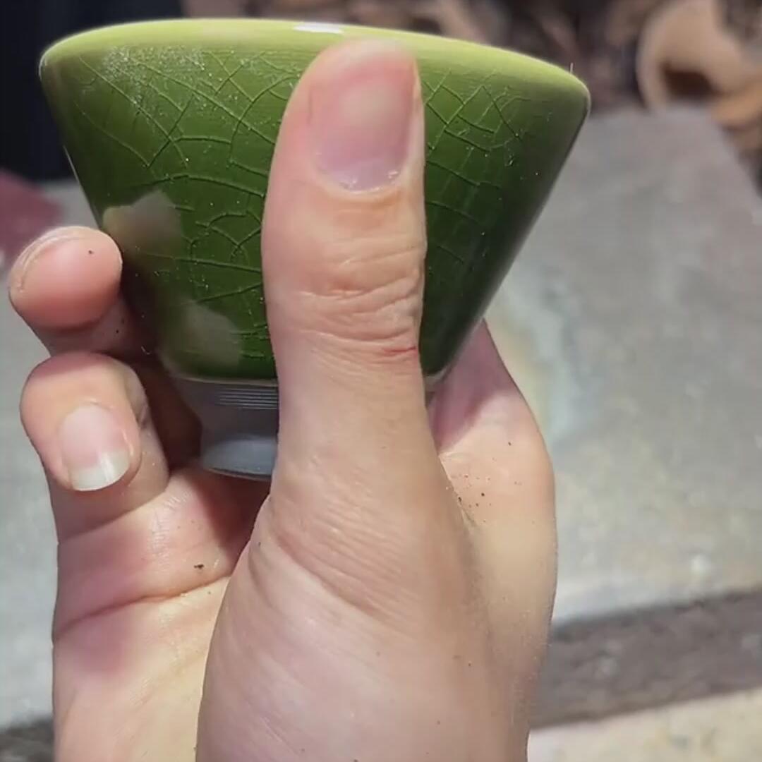 玉子斗笠