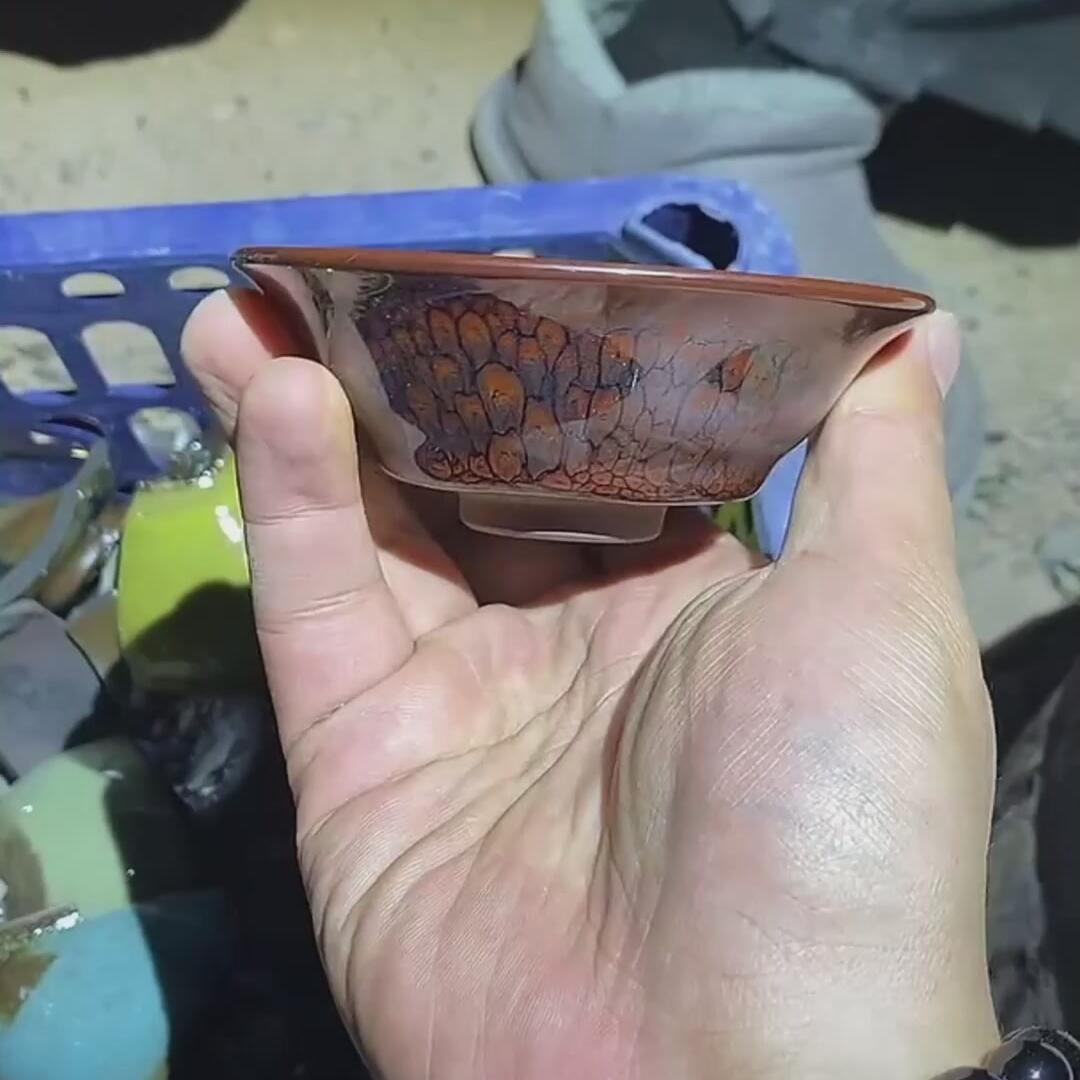 建盏红鸪敛=D0033