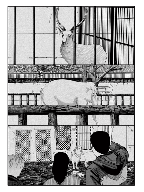 《笼中鸟》_人气未删减_bilibili漫画