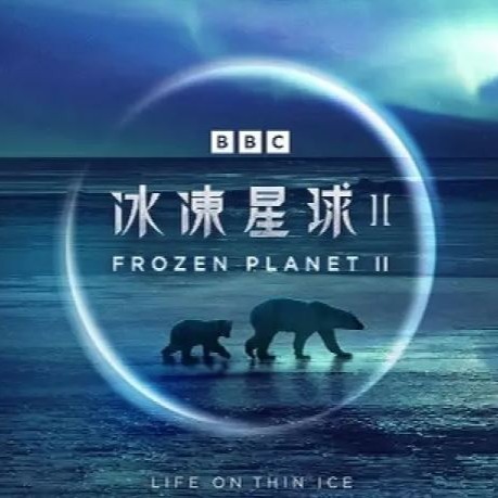 【助眠系列】纪录片《冰冻星球》06 纪录片《冰冻星球》06