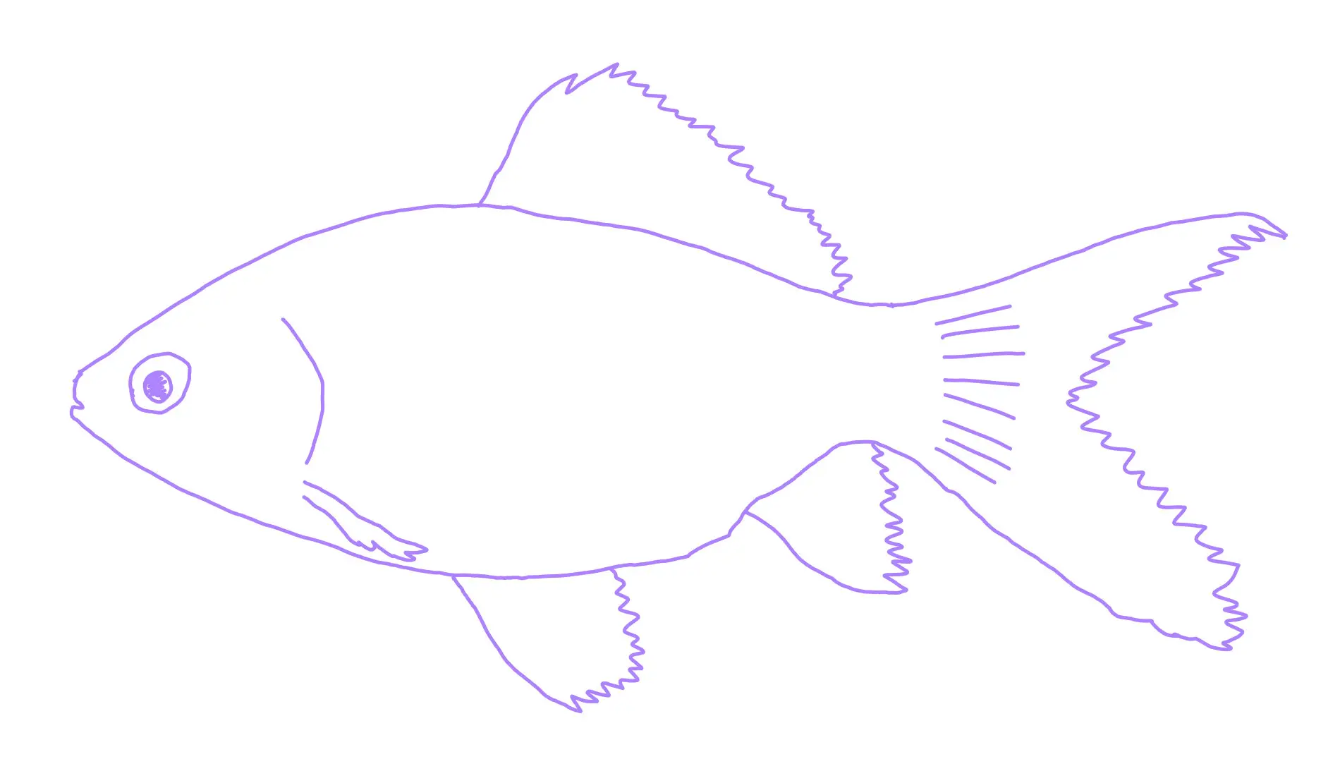 鱼 各种鱼 手绘素描