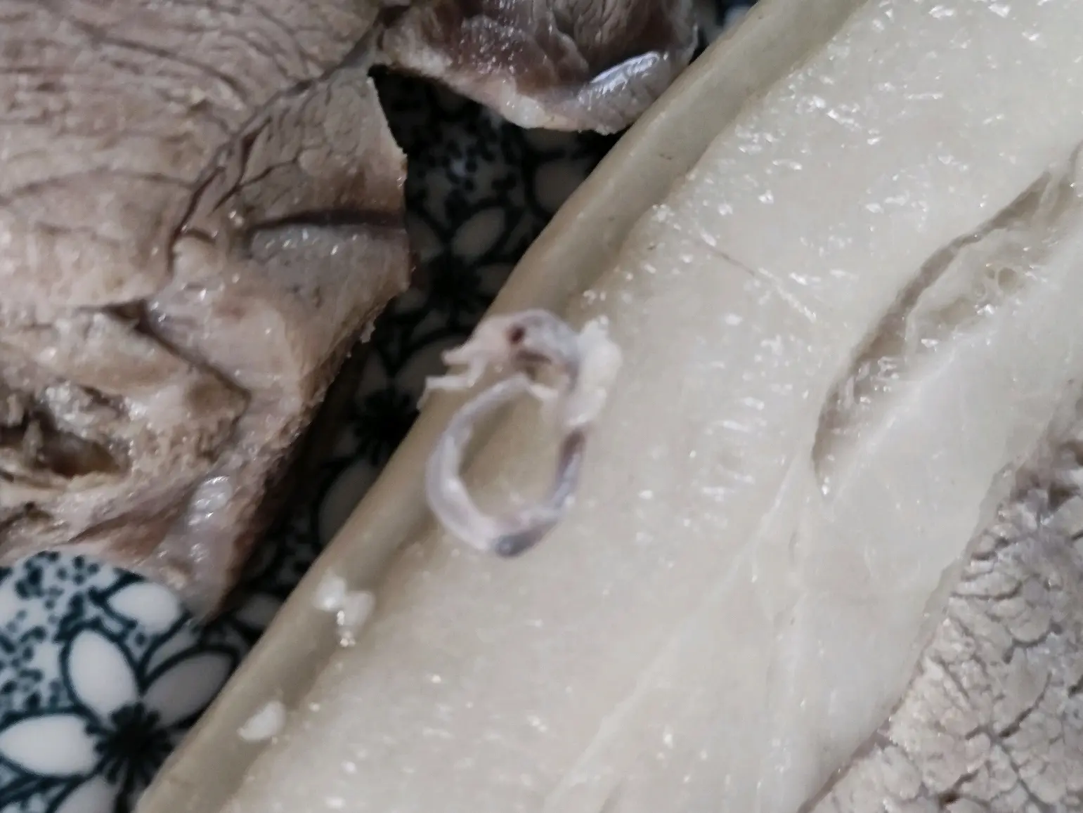 你见过长在猪肉里的虫子吗?