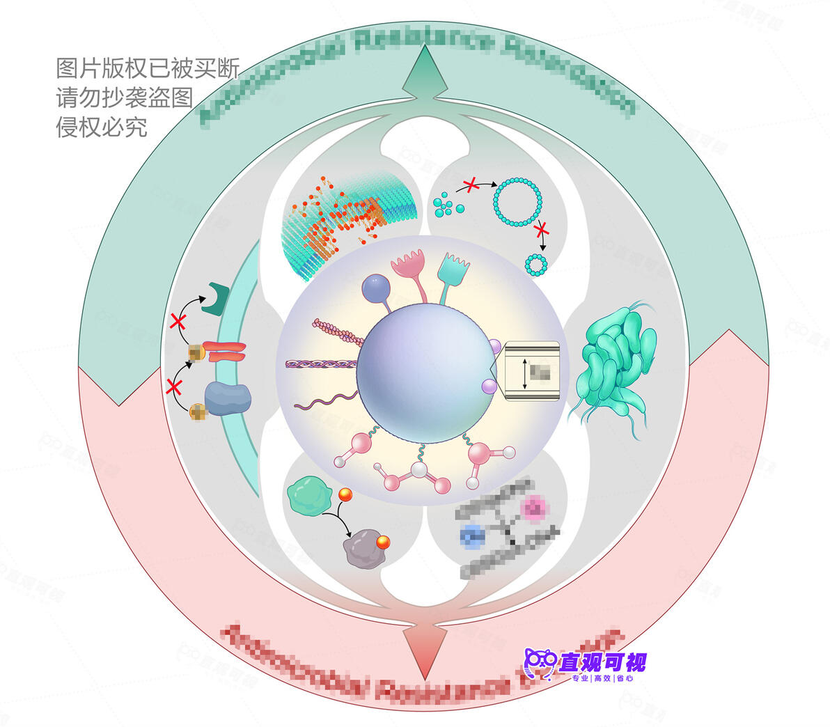科研绘图 医学插画 生物化学 环境材料 机制图均可接 - 哔哩哔哩