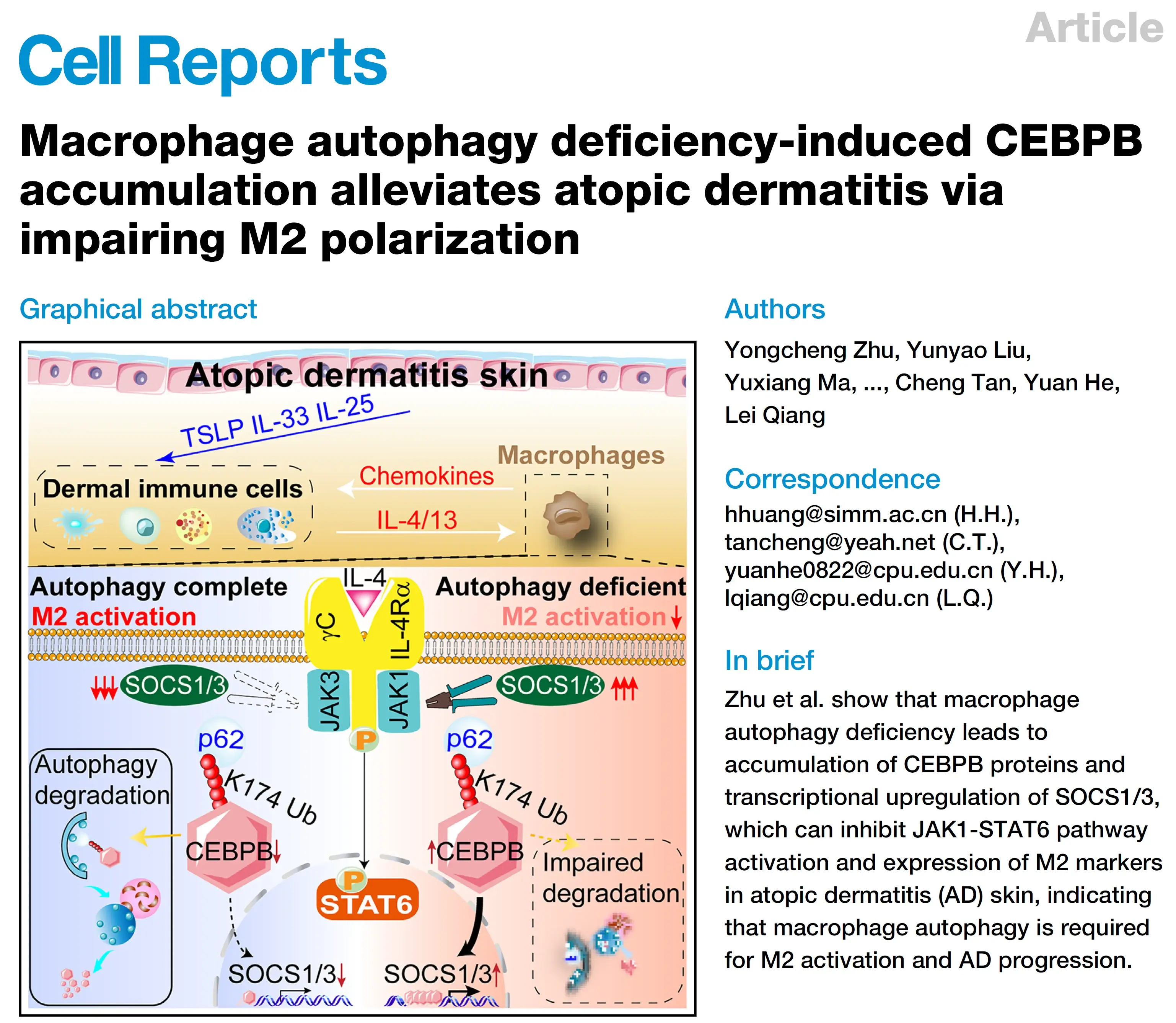 epidermatitis图片