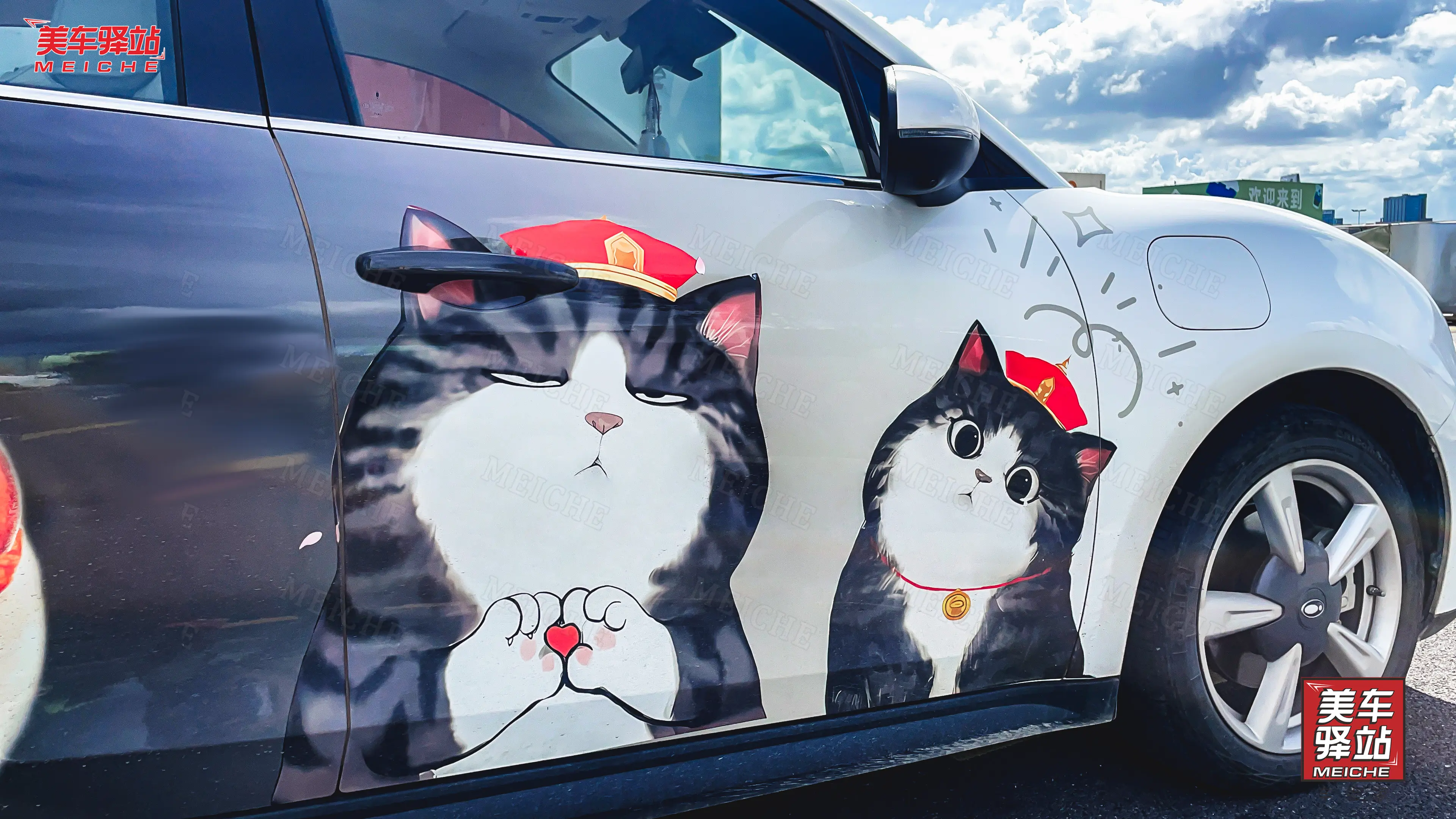 欧拉好猫的吾皇万岁宠物定制彩绘涂装?