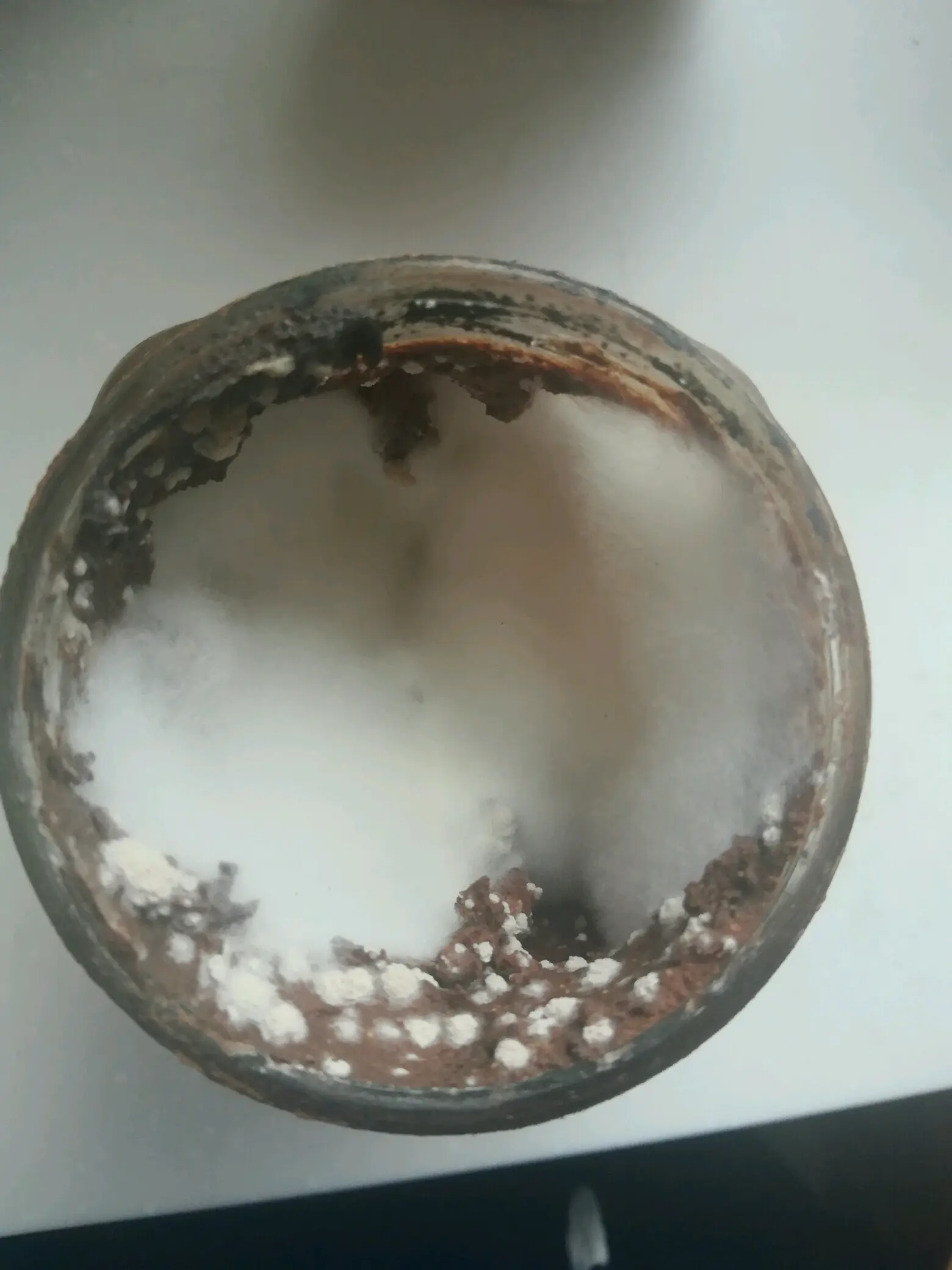 本人于刚才发现两周前前自己做的低脂可可酸奶酱长毛了,望周知