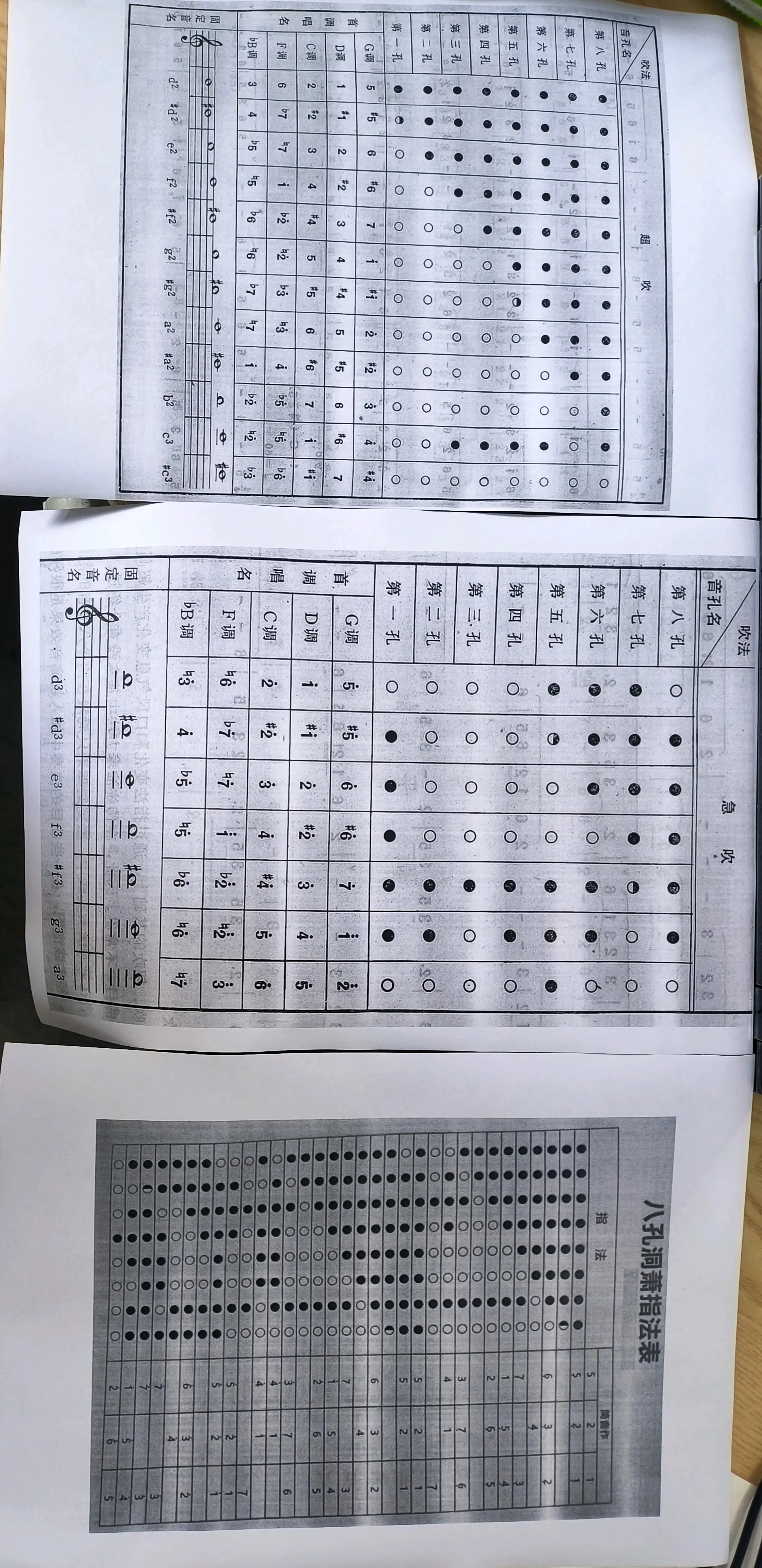 巴乌指法七孔图 手法图片