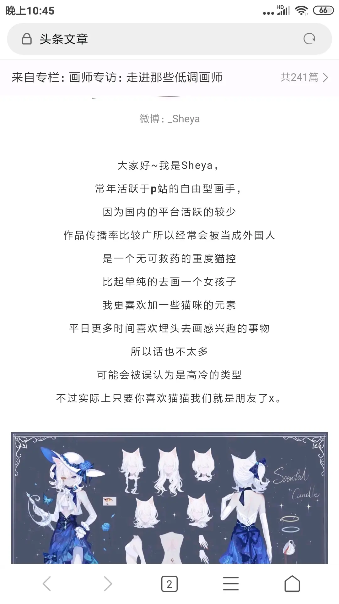 带你们欣赏艺术画家sheya笔下的白猫candle